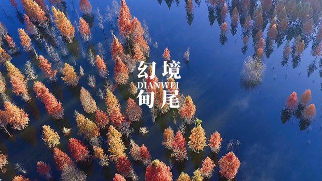你知道袁隆平的杂交水稻有多厉害吗？