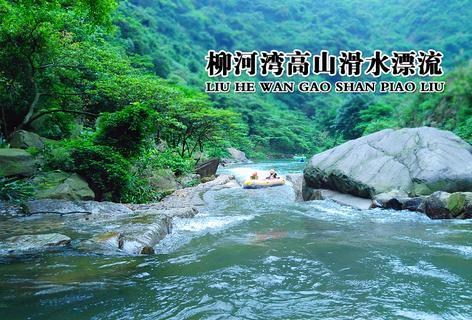 燃烧吧大脑免广告最新版